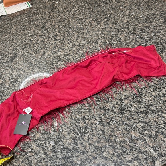Magnolia Red Feathered Tube Top - Picture 8 of 13